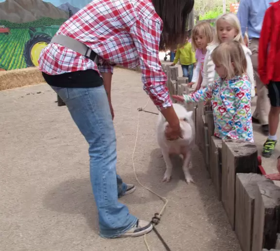 Farm with tons to do: hay rides, strawberry and veggie picking, goats on tightropes, animal shows, tunnels under hills, slides down tractor shoots, long wooden trains to climb...