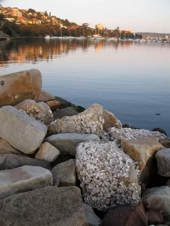 Pretty, quiet park beside the water with jogging path that leads all the way to Manly.