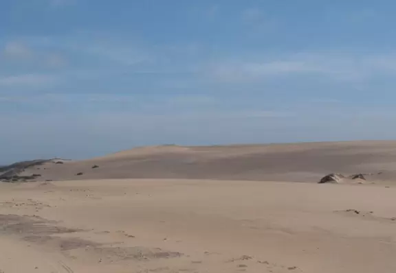 Wild, windswept dunes where the set of the Ten Commandments lays mysteriously buried.