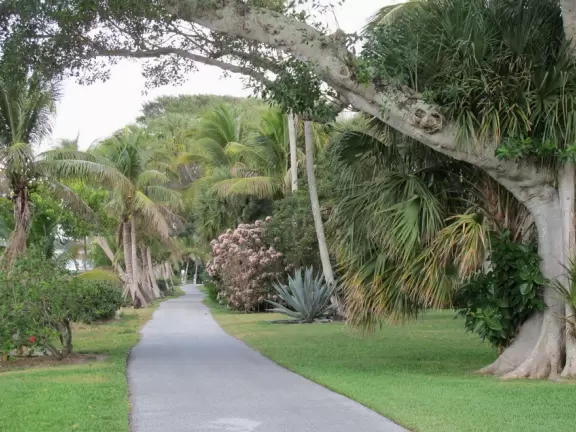 Stroll along a pedestrian-only street beside the blissful intracoastal waterway beside mansions with lush gardens under swishing coconut trees.