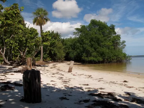Beautiful, large park on the intracoastal waterway with a wonderful children's museum, splash pad, pier, waterfront boardwalk, white sand beach, mansion, captain's house, mangrove boardwalk, and path around a pond.
