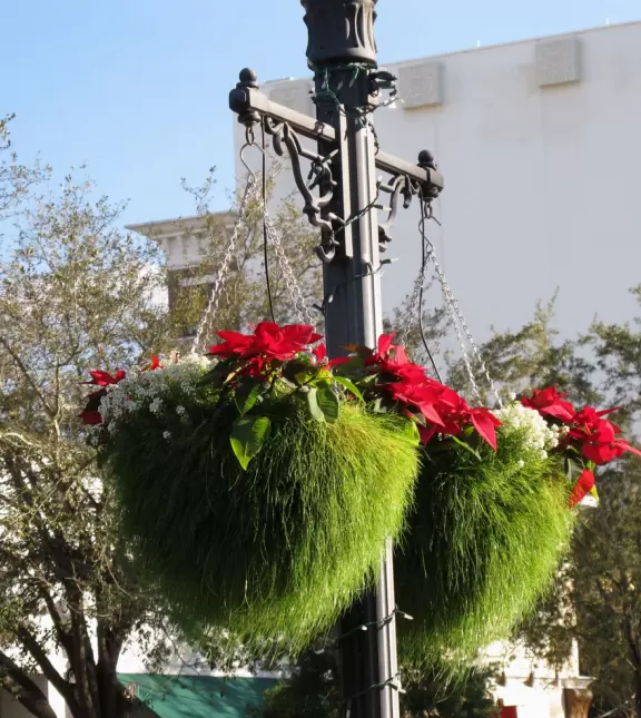 Gorgeous main street with large, European-style park where people sit on the grass by the fountain.
