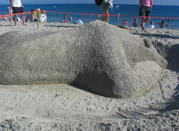 A wide sandy beach that's fun for kids! Wonderful for a long walk around the red cliffs.