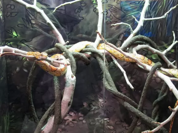 Gorgeous tropical area with brand-new nature center, tram ride on boardwalk over estuary, and beautiful beach.