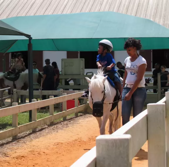 Stinky park downwind from a huge garbage dump with pony rides, horse trail rides, bounce house, steam train rides, and playground.