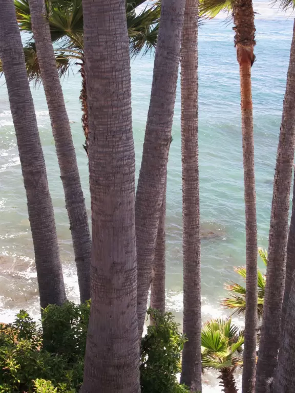 One of the most beautiful spots in California- look way down below through lush palms at the incredible blue-green water.
