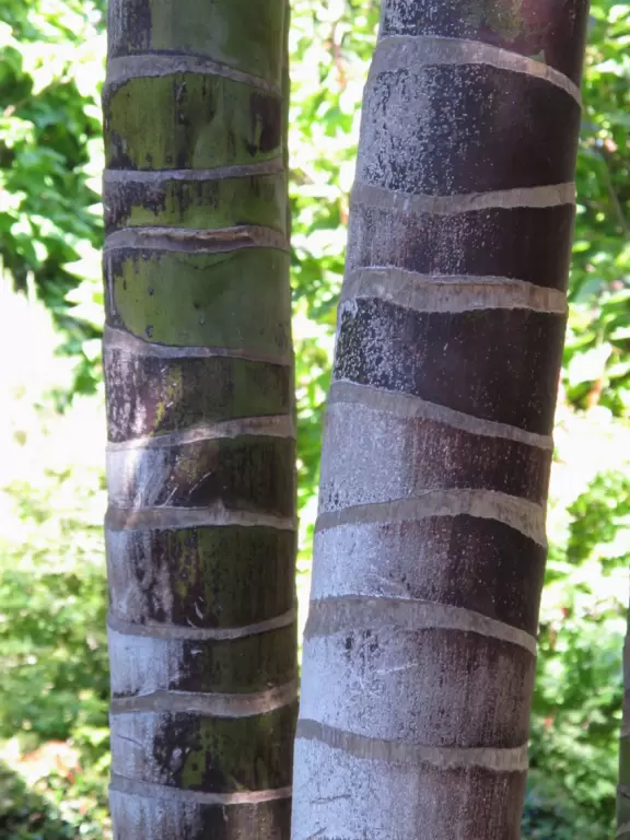 An estate with paths winding around 25 acres of varied, exquisite gardens.