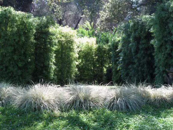 An estate with paths winding around 25 acres of varied, exquisite gardens.