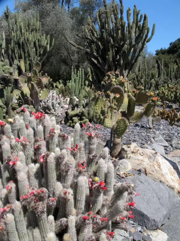 An estate with paths winding around 25 acres of varied, exquisite gardens.