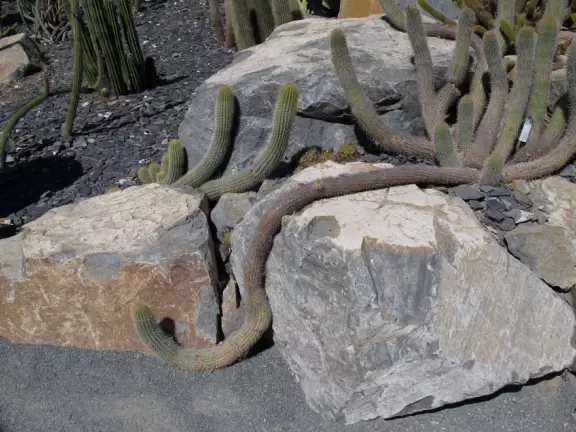 An estate with paths winding around 25 acres of varied, exquisite gardens.