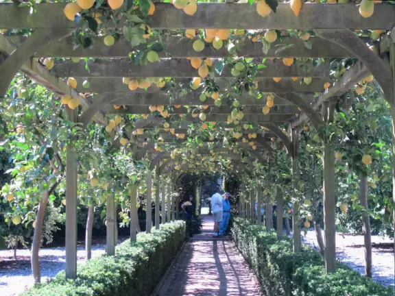 An estate with paths winding around 25 acres of varied, exquisite gardens.