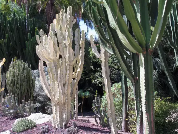 An estate with paths winding around 25 acres of varied, exquisite gardens.