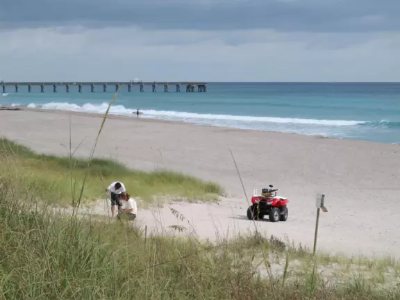 Wide-open beach with pale grey sand, shells on the shore, and aquamarine water, across from a playground, turtle center, and hike.