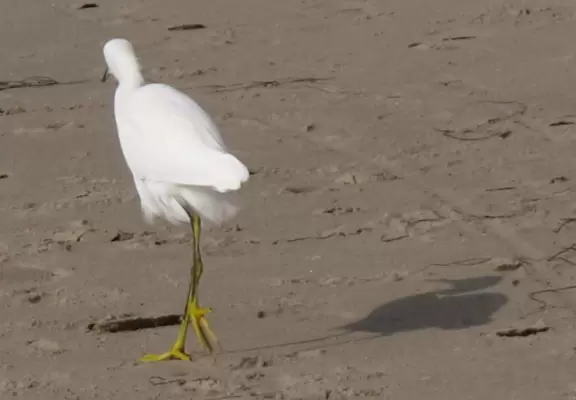 A popular beach with families and dog owners. Come for a long walk under beautiful cliffs.