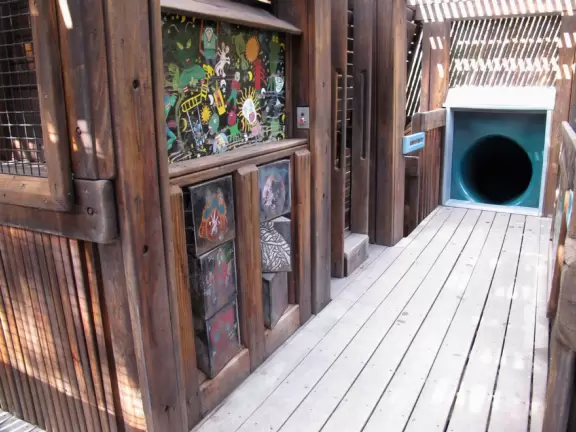 Amazing wooden playground with splash pad and gizmos galore, plus carousel and free science museum, all in a tropical setting.