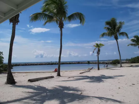 Barren area with small sandy beach in swampy water, rock jetties, and plain playground.
