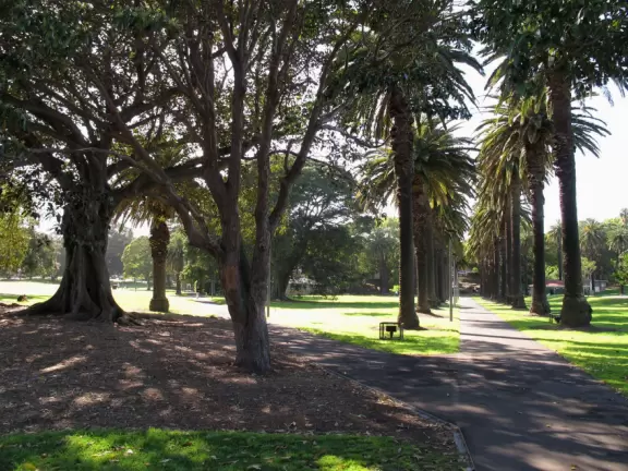 Birds sing a thousand melodies in the huge Moreton Bay fig trees while happy people stroll along the walkway at this waterfront park.