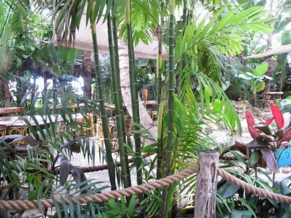 Places to eat and drink with tons of atmosphere and mostly on the intracoastal waterway.