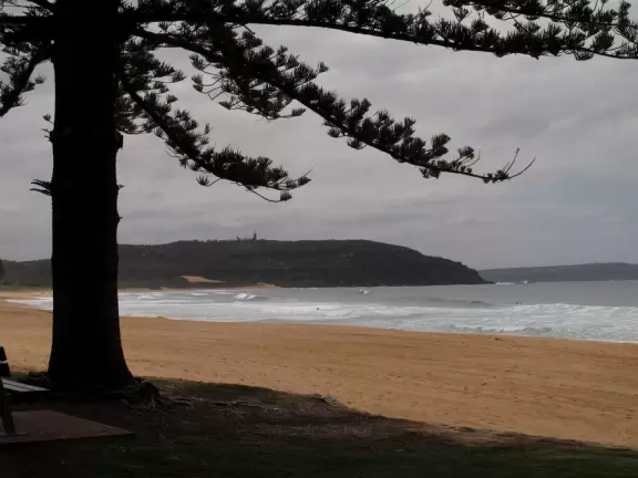 Stunning beach with lush headland, shallow water for a long way out, and orange-pink sand dotted with smooth, white shells.