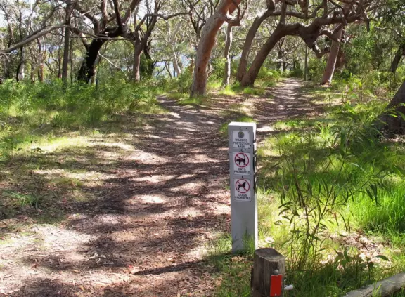 Short hike to a boulder with lovely views over Pittwater.