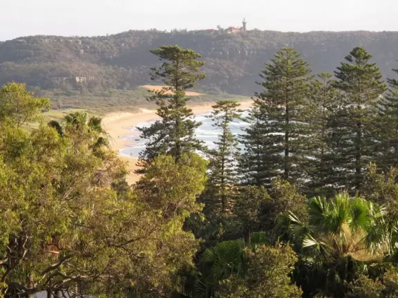 Stunning beach with lush headland, shallow water for a long way out, and orange-pink sand dotted with smooth, white shells.