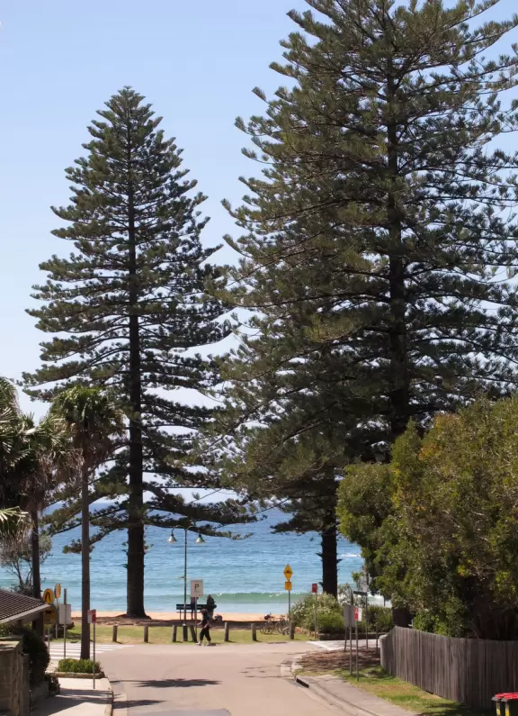 Stunning beach with lush headland, shallow water for a long way out, and orange-pink sand dotted with smooth, white shells.