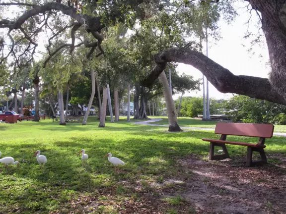Waterfront park with boardwalk and benches facing the sunset, plus playground under a huge shady canopy and swings over white sand.