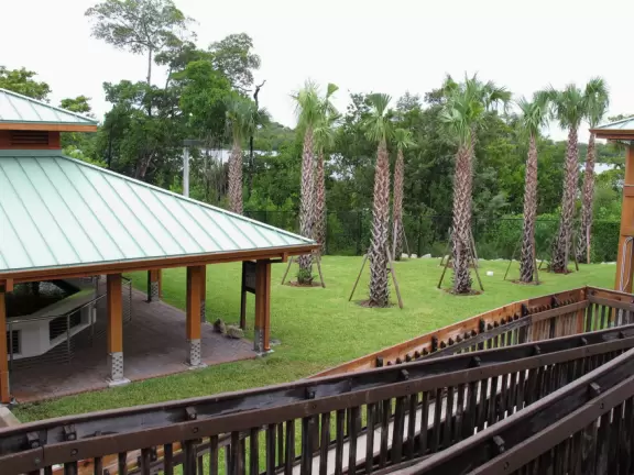 Nature center with sea life in huge tanks (you can't see inside because you are held back by railings), and boardwalk through jungle to observation tower.
