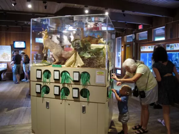 Nature center with sea life in huge tanks (you can't see inside because you are held back by railings), and boardwalk through jungle to observation tower.