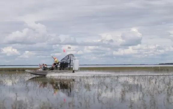 Glide over the water that mirrors the arcing sky, and see alligators!