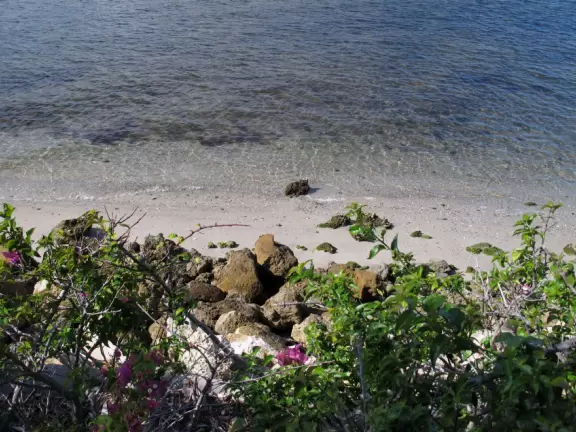 Mansion at one of the most beautiful waterfront settings in Florida!