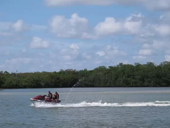 It's pleasant to take a boat trip in Estero Bay and see the birds and dolphins.