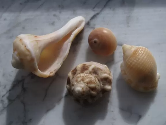 Beach with cute pier and aquamarine water.