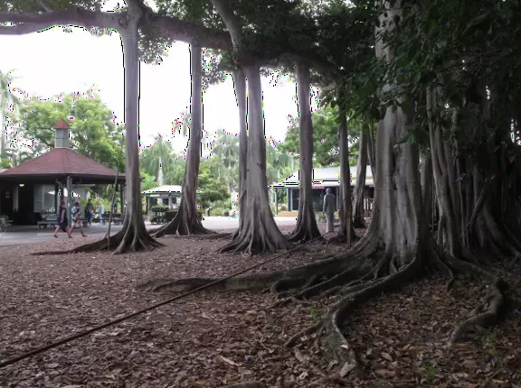 Homes with exquisite gardens on the river, plus museum and lab showing Edison and Ford's inventions.