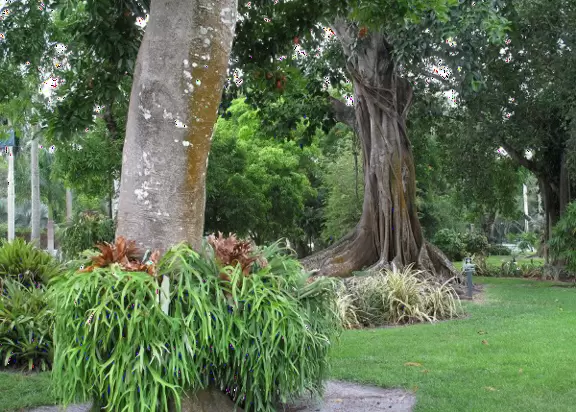 Homes with exquisite gardens on the river, plus museum and lab showing Edison and Ford's inventions.