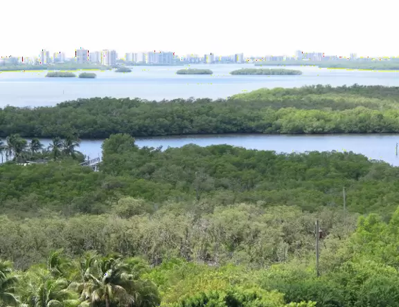 It's pleasant to take a boat trip in Estero Bay and see the birds and dolphins.