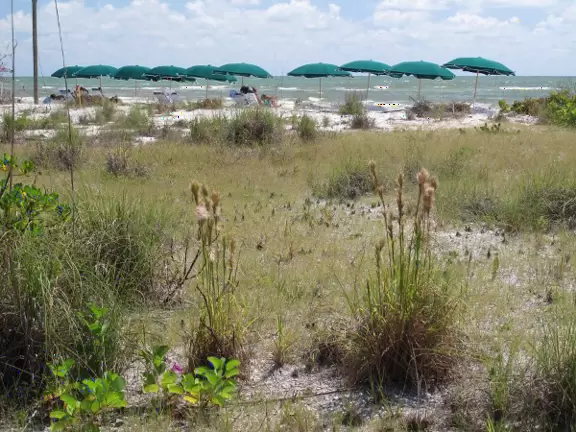 It's pleasant to take a boat trip in Estero Bay and see the birds and dolphins.