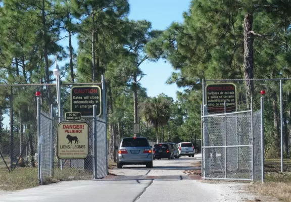 Drive your car through the "South African veldt", and see zebras, giraffes, rhinoceroses, buffalo, and antelope up close, then enjoy a tropical zoo with free rides such as a carousel, ferris wheel, and dumbo the elephant ride.