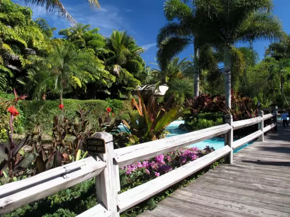 Drive your car through the "South African veldt", and see zebras, giraffes, rhinoceroses, buffalo, and antelope up close, then enjoy a tropical zoo with free rides such as a carousel, ferris wheel, and dumbo the elephant ride.