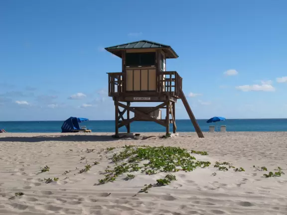 Beach with everything a beach should have: pale sand, aquamarine water, coconut palms, dunes, fit people, and cafes.