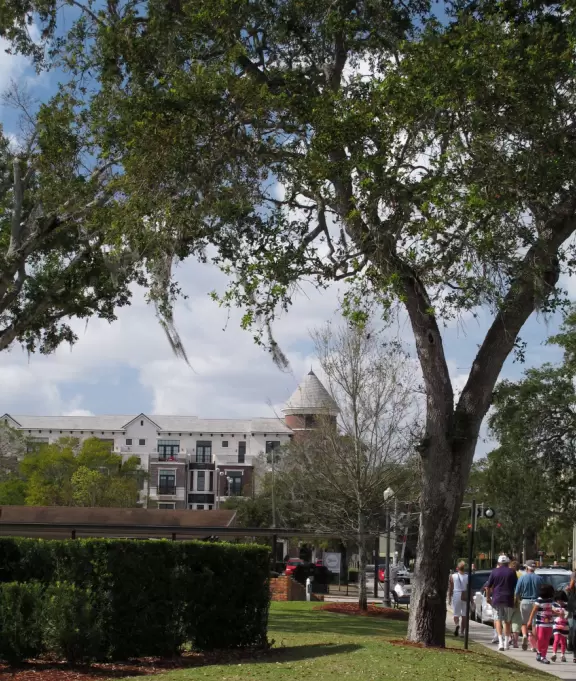 Gorgeous main street with large, European-style park where people sit on the grass by the fountain.
