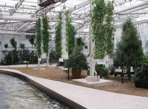 Super fun for the whole family, as long as kids are 4 and up.