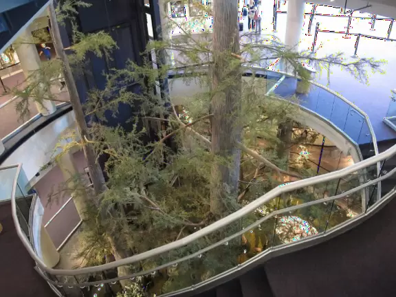 Excellent science center which is almost like a modern children's museum, with tons of amazing hands-on activities for kids.