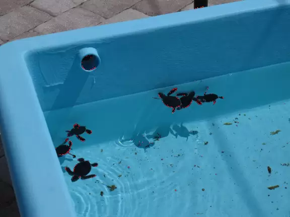 Kids love to see the recovering turtles in the outdoor tanks, and to learn about turtles from the exhibits at this attractive center.