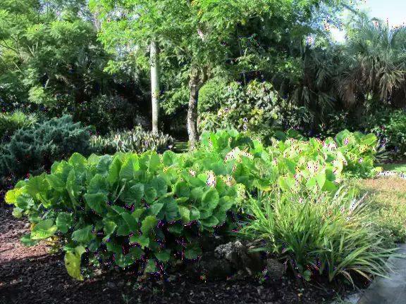 Pretty&nbsp;gardens with a wide assortment of tropical plants- a surprising find in an industrial area.