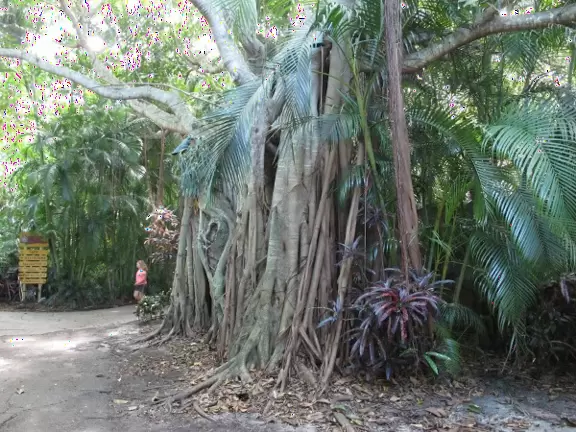 Incredibly lush and beautiful grounds, with animals in happy enclosures built around natural bodies of water.