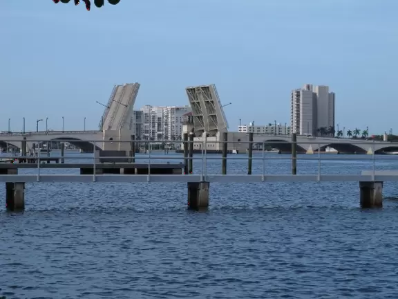 A cement bike and walking path along the intercoastal waterway in front of mansions and past glorious trees.