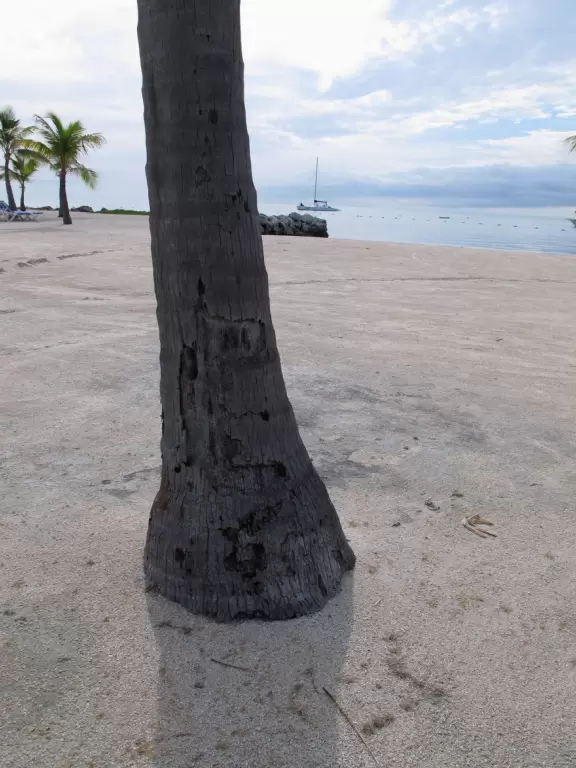 Dowdy town but nice because of the water all around.