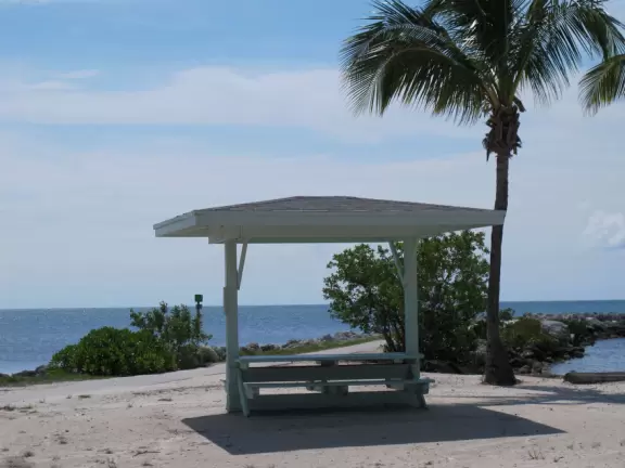 Barren area with small sandy beach in swampy water, rock jetties, and plain playground.