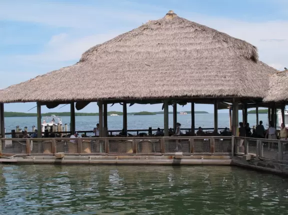 Gross food, but come for a drink because the view is great.